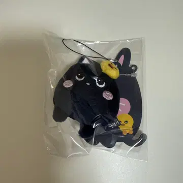 riize 원빈 봉제 인형 토냥도쿠