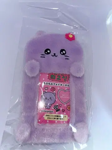 최고심 트레이딩 카드 케이스 고양이 귀여운