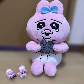빤쮸토끼 3종 세트 봉제 인형 피규어