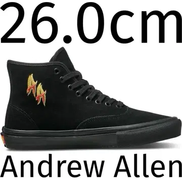 Vans Skate Authentic High Andrew Allen