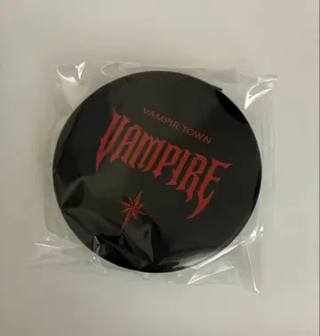 ENHYPEN world vampire special 거울