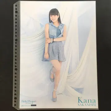 4162 안쥬르므 나카니시 카나 핀업 포스터