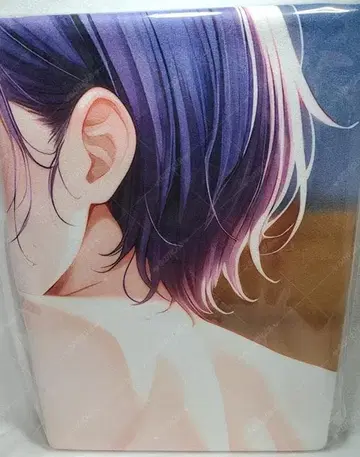 테이노 잇키 s95