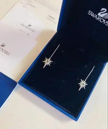 스와로브스키 Swarovski Fantastic 귀걸이
