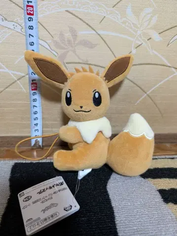 이브이 봉제 인형 포켓몬