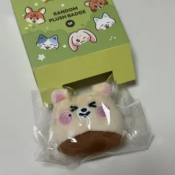 NCT DREAM Dreamiez 드림이즈 지성 인형 배지