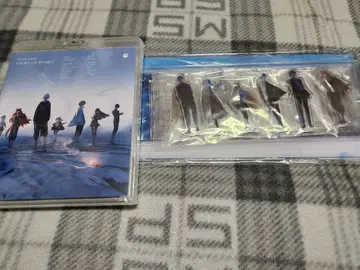 니지산지 LIGHT UP TONES 원반