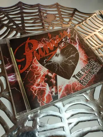 PUNISH The Pain of ELECTRICITY CD