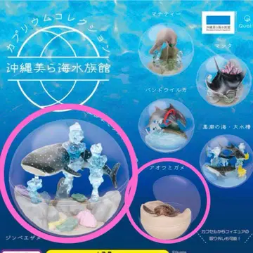 츄라우미 수족관 한정판 카프리움 컬렉션 징베상어 푸른바다거북 세트