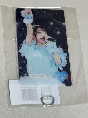 츠지노 카나미 폰탭