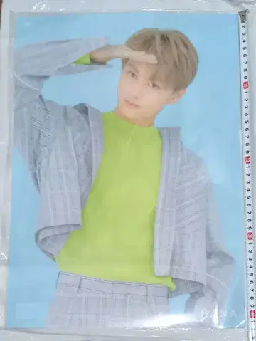SEVENTEEN 준 HANA 대형 클리어 파일