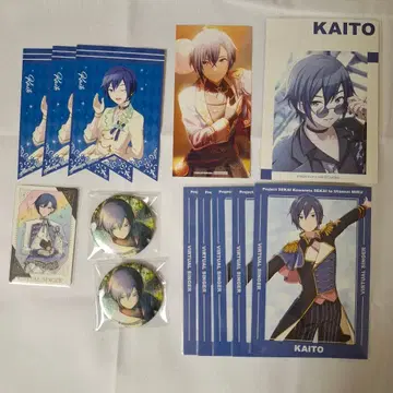 프로세카 KAITO 묶음 판매