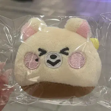 NCT DREAM 드림리즈 지성 봉제 인형 배지