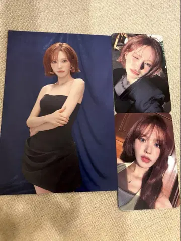 Wendy 입장 특전 트레이딩 카드 엽서