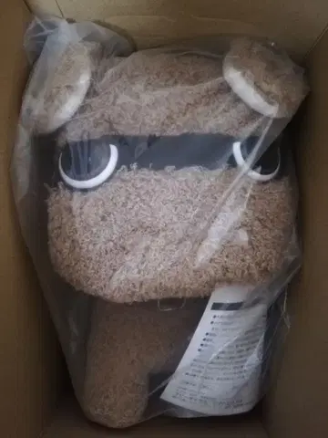 데리마루 브라운
