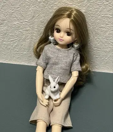 중고 인형 오비츠 바디의 리카짱 (잡화 포함)