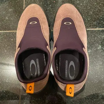 oakley braindead Factory Team Flesh