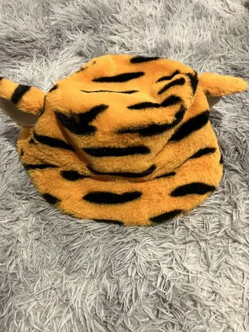 디즈니랜드