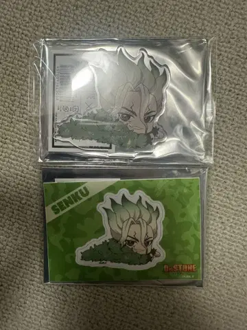 Dr.STONE 캬라드리 이시가미 센쿠