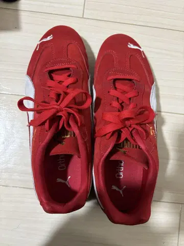 Puma 스피도캣