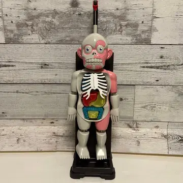 인체 모형 완구