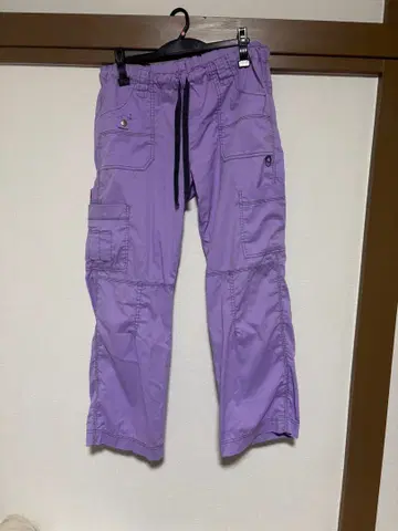 Dickies 카고 팬츠 보라색