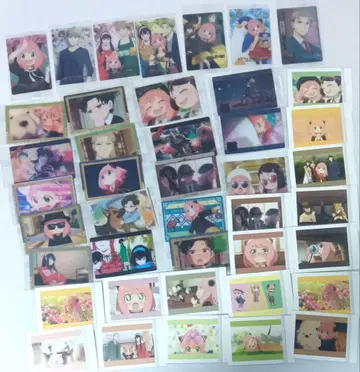 스파이 패밀리 굿즈 세트 (사진 5장 있음)