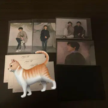 나카지마 요시키 TRUE Self 브로마이드 메시지 세트