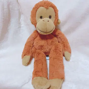 [내일 발송 가능] JELLYCAT 오랑우탄 단종품 [가격 인하 가능]