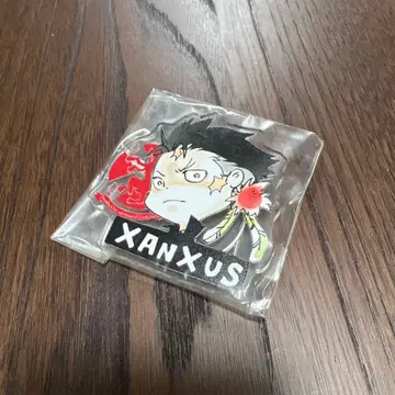 잔자스 아크릴 배지