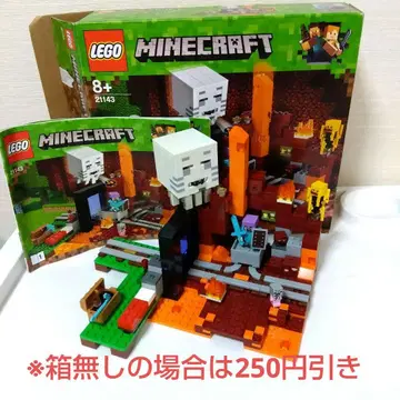 LEGO MINECRAFT 21143
