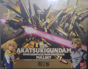 1/100ORB-01AKATUKIGANDAM