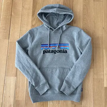 파타고니아 Patagonia P-6 로고 업라이저 후디