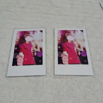 이레이스 나이코 실사 폴라로이드 에비 페스티벌