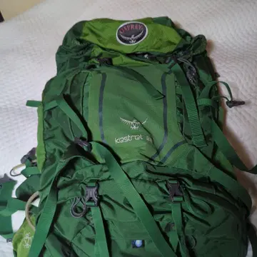 Osprey Kestrel 38 그린 백팩