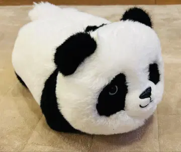완구 팬더 너는!? 돌봄 봉제 인형 따라쟁이