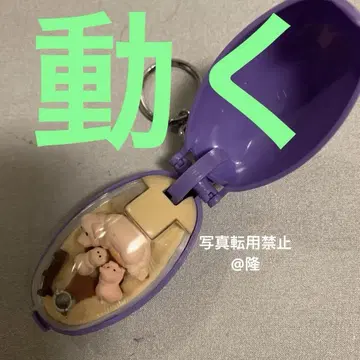 포켓 크리처 돼지