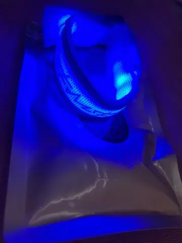 RIP SLYME 투어의 블레스 라이트 블루