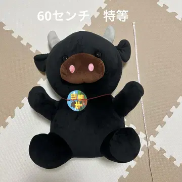 타지마규 봉제 인형 60cm 해피팜