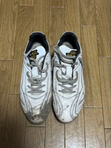 SSK 화이트 야구용 스파이크