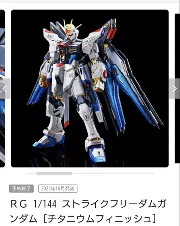 RG 1/144 스트라이크 프리덤 건담 티타늄 피니쉬