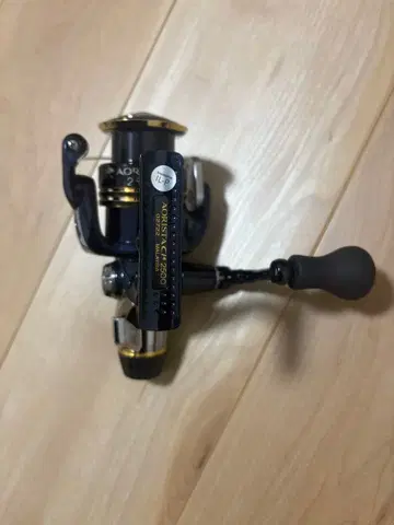 아오리스타 CI4 C2500