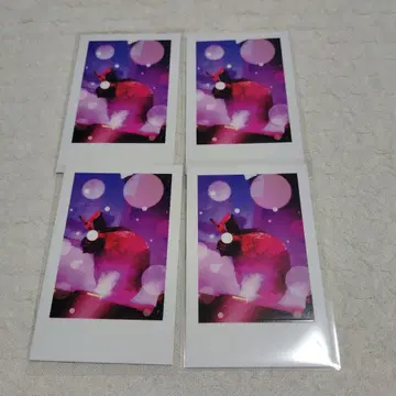 이레이스 리우라 실사 폴라로이드 에비 페스티벌
