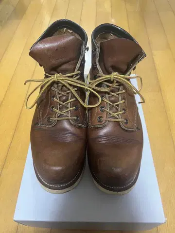 레드윙 클래식 크랩턴 클래식