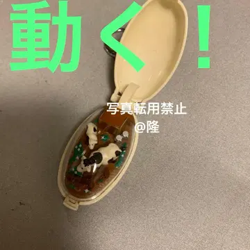 포켓 크리처 소