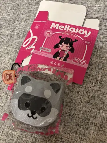 Mellojoy 스퀴즈 구구토스트 너구리