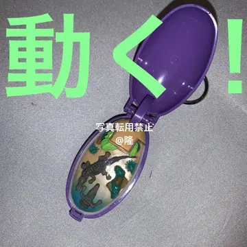 포켓 크리처 악어