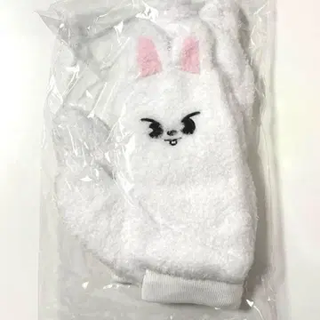 리빗 Stray Kids 리노 장갑 dominATEJAPANskzoo