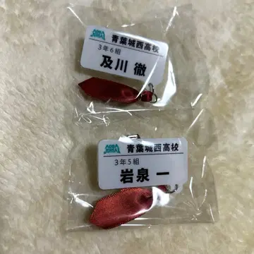 하이큐 참 포함 네임 배지 컬렉션 오이카와 토오루 이와이즈미 하지메