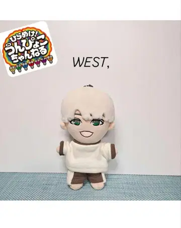 치비스트 치비누이 하피누이 WEST, 의류 의상
